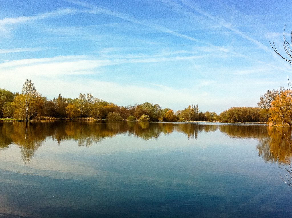 Braunschweiger Natur Blick auf einen See