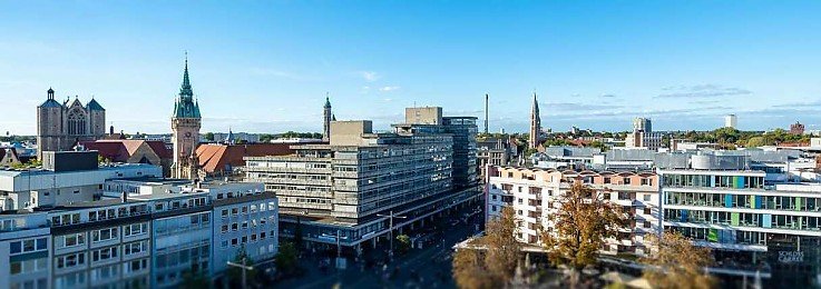Braunschweiger L�we mit Blick auf die Stadt