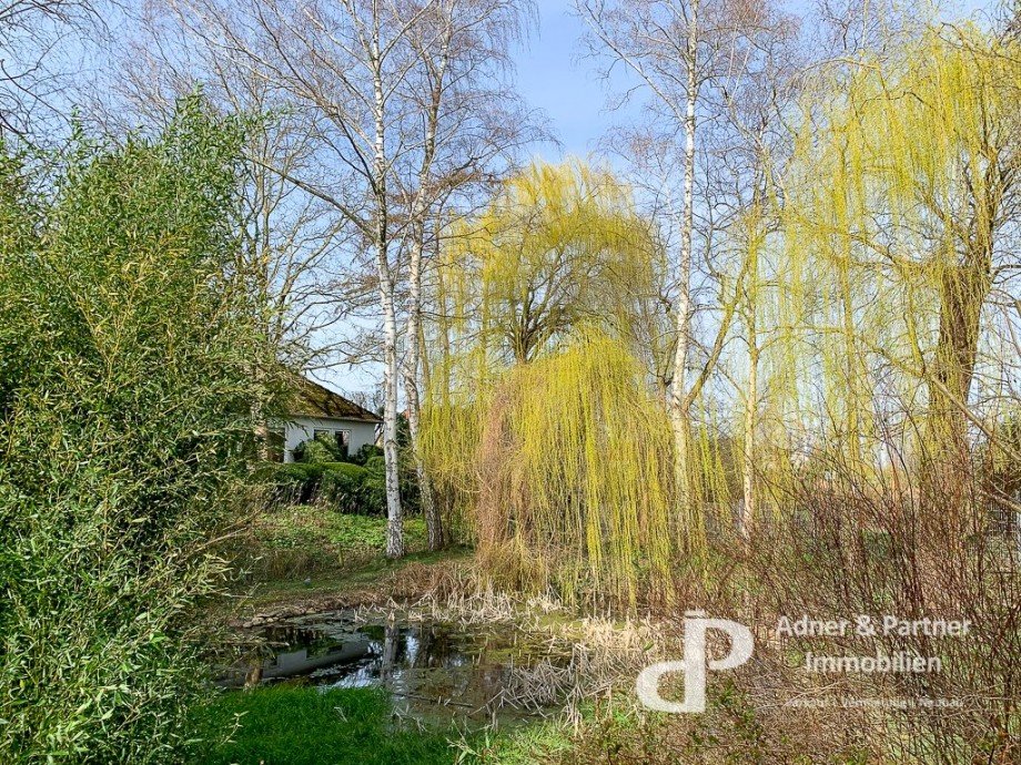 Blick zum Teich Einfamilienhaus Braunschweig