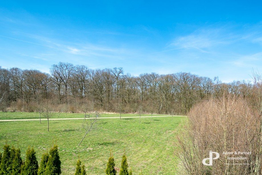 Aussicht vom Nordbalkon Villa Braunschweig
