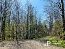 F�mmelser Holz **NEUWERTIGER ARCHITEKTENBUNGALOW AM RANDE DES NATURSCHUTZGEBIETES IN WOLFENB�TTEL**